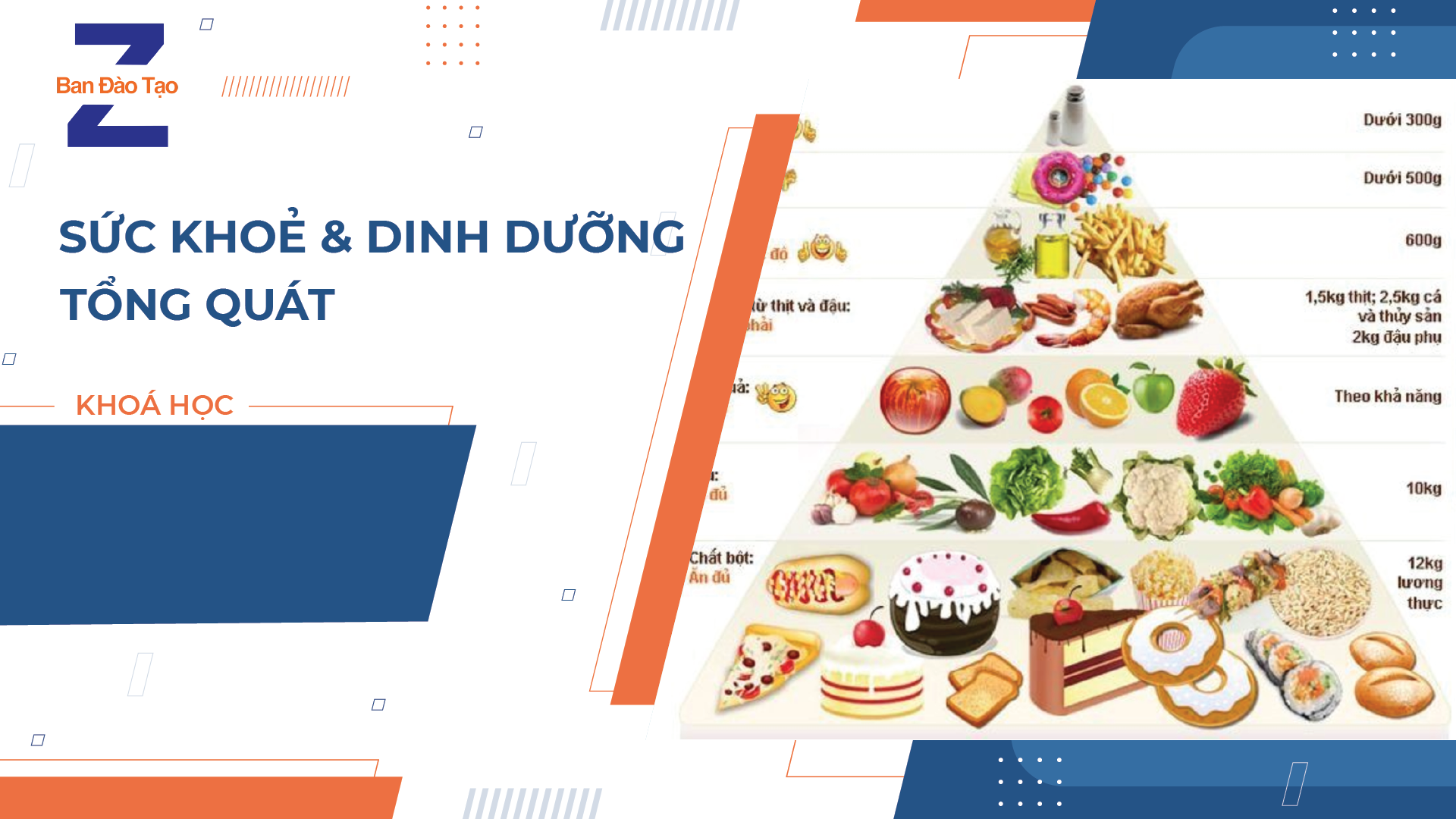 OFFLINE | SỨC KHỎE VÀ DINH DƯỠNG TỔNG QUÁT